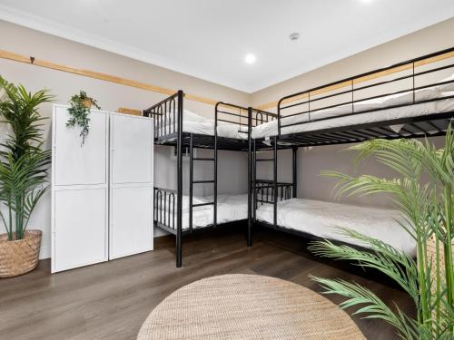 VENUS Surry Hills - FEMALE ONLY HOSTEL - image 14