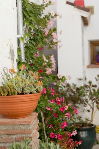 Casa Alegria gîte à louer Venta de Cazulas