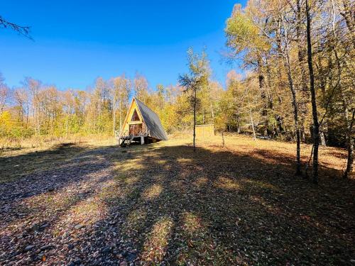 A környék, Araucaria Lodge in Curacautin