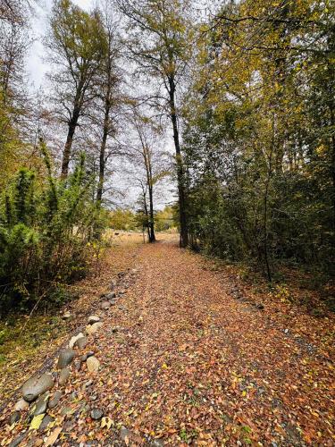 A környék, Araucaria Lodge in Curacautin