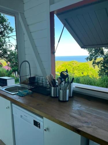 Omgeving, Lodge traditionnel et sa piscine vue mer in Les Anses-d'Arlet