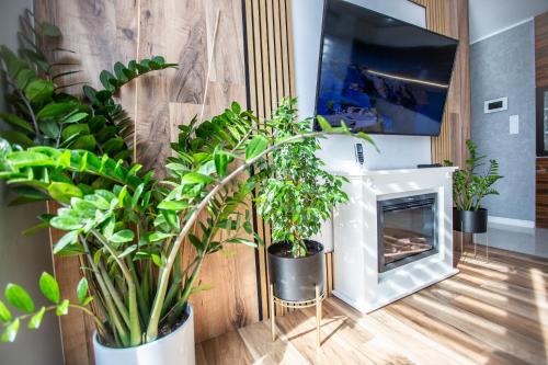Wlodarska 4a Apartament Premium, Kraków (photo 10)