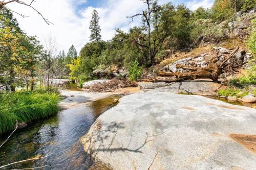 Ponderosa Creekside Retreat
