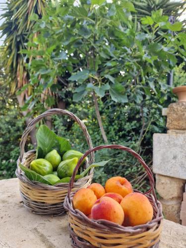  Masseria Vivi il Salento, Pension in Santa Caterina di Nardò