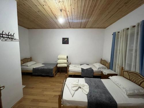 Mikel Center Theth Guesthouse