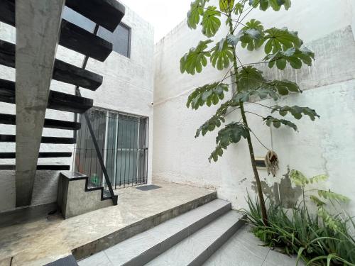 Balcony/terrace, Casa y departamentos lavanda in Merida