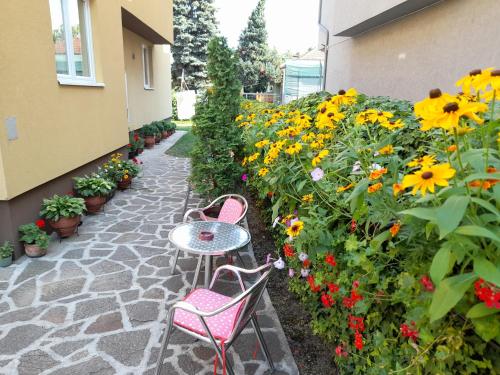 Hage, Sobe i apartmani Kety in Kragujevac
