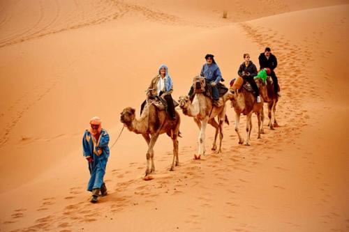 Desert Berber Fire Camp