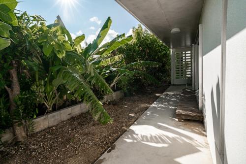 NEWOPEN　オーシャンビューの一軒家 (NEWOPEN　オーシャンビューの一軒家) in Ishigaki