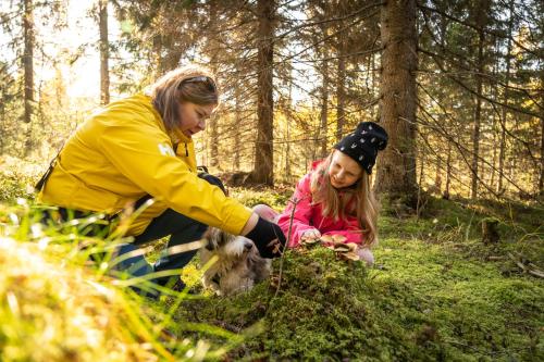 Koli Freetime Cottages - image 14