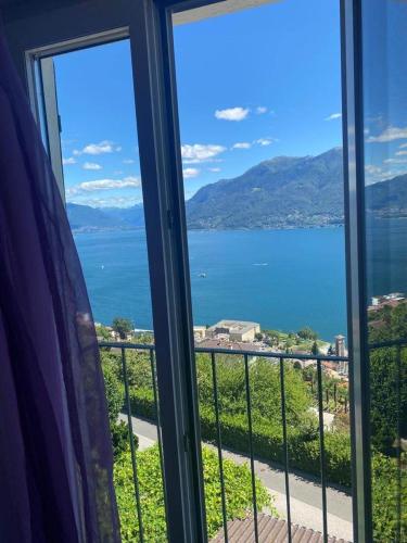 Dream vacation on the lake, Brissago (fotografie 7)