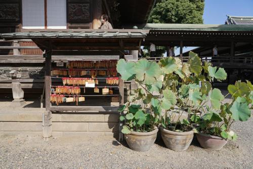 Mediu înconjurător, Lodging Tokyo Shibamata in Katsushika
