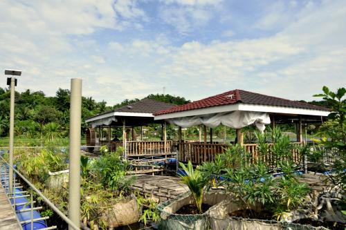 Isla De Oro Hotel in Mamburao