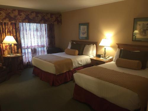 Standard Double or Twin Room