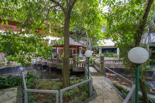 quays motel san remo 37 phillip island road phillip island australia au 3925 grand hotel and studio