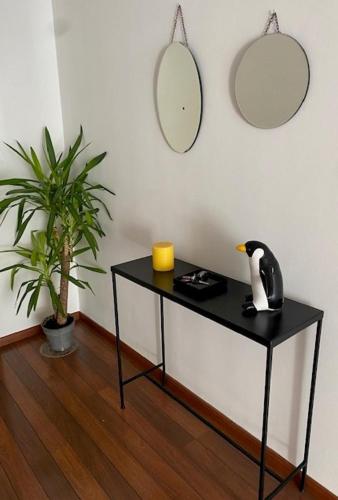 Grand appartement T2, lumineux, au calme, au pied des Calanques, proche Mer, Marseille (fotografie 9)