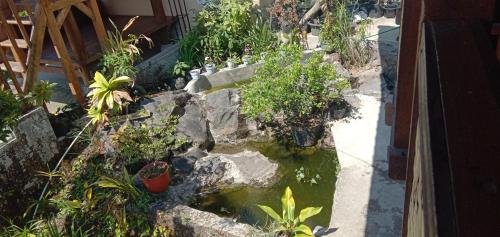 Radiya Guesthouse in Sembalun