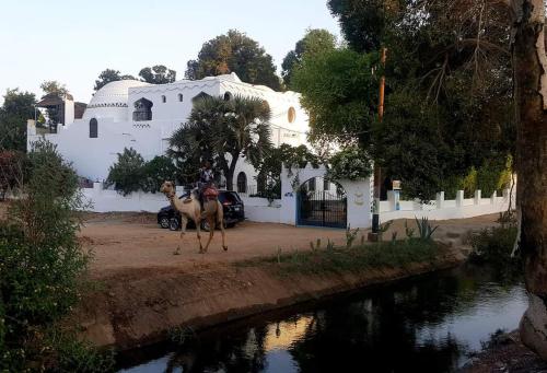 Nubian Holiday House Aswan