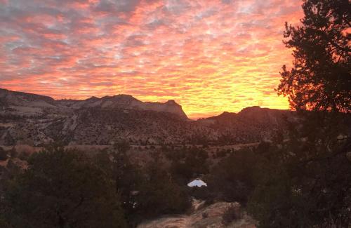 Escalante Yurts - Luxury Lodging