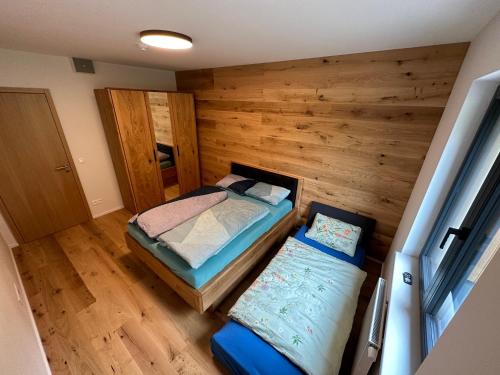 Apartmán Ski & Bike - Protěž