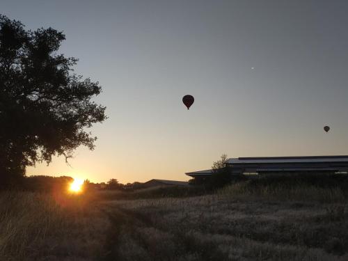 Domaine equestre de la Chenaie in Saint-Hilaire-Saint-Florent