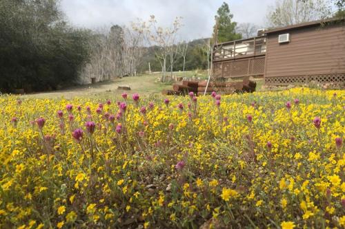 Shirley Creek Retreat: a Mountain Oasis