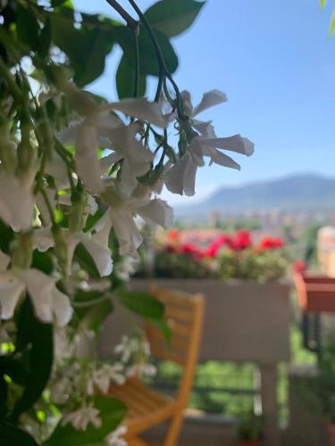 Bed and Breakfast San Valentino 3