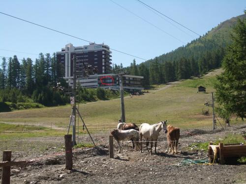 Exceptionnel - Au pied des montagnes & Départ de randos direct - PELVOUX II - VARS
