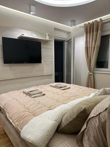 One-Bedroom Apartment image 4