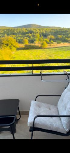 One-Bedroom Apartment image 1