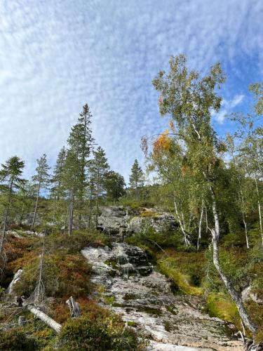 Polaren by Norgesbooking - cabin with amazing view