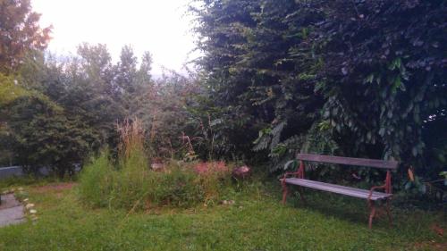 Garden room - view of nature