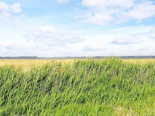  Three-Bedroom Holiday home in Ulfborg 5 in Thorsminde