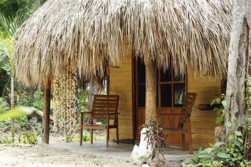 Beautiful hidden jungle getaway! Pet friendly