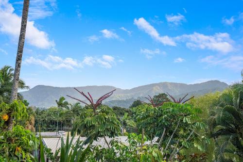 Deco View Family Oasis in Cairns