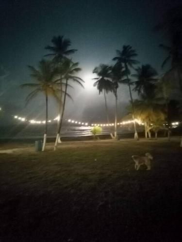 周邊環境, Piscina Mar en el Paraíso Caribe (Piscina Mar en el Paraiso Caribe) in 瑪麗亞奇基塔