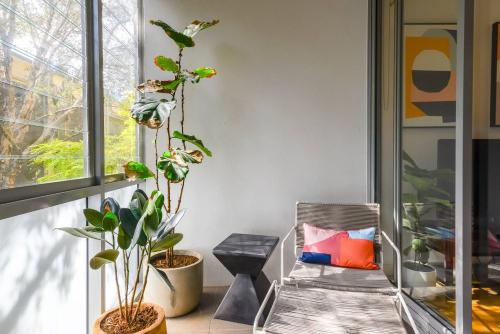 Lush Modern Sanctuary in the Heart of Surry Hills - image 8