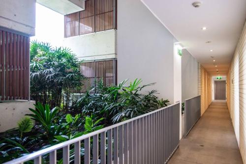 Lush Modern Sanctuary in the Heart of Surry Hills - image 3