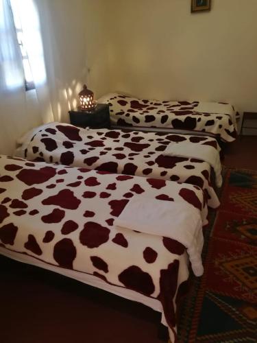 4 twin beds