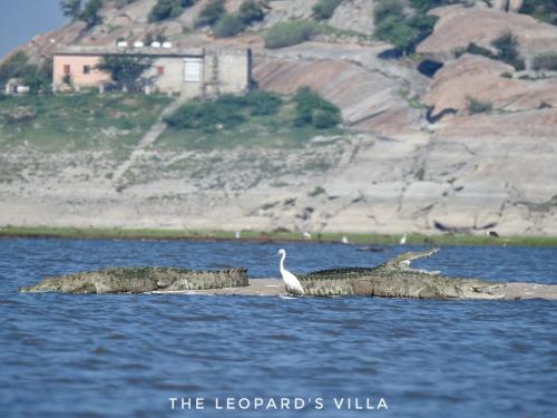 Jawai Leopard Villa