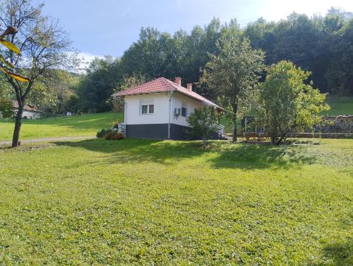 . Vitovnicki Mir