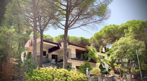 Luxury private Villa 25m Pool, Gym, 200m to Beach - Accommodation - Cañet de Mar