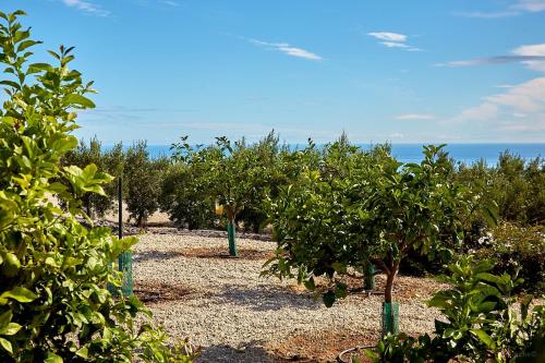 Finca el Vinche