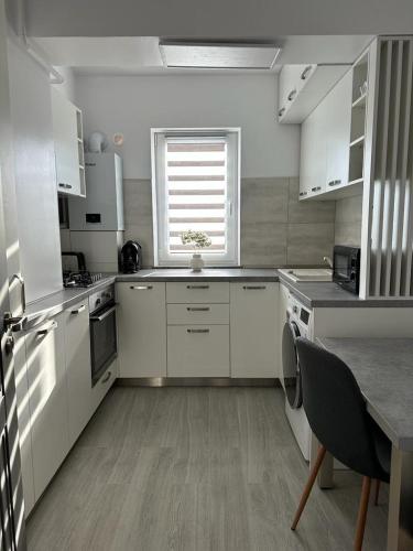 köök, Cozy Studios in Suceava in Suceava