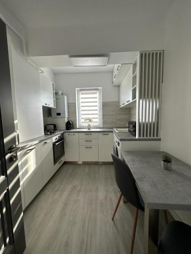 köök, Cozy Studios in Suceava in Suceava