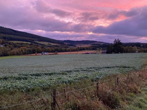 สภาพแวดล้อมโดยรอบ, Smithy Cottage in แอบยอน