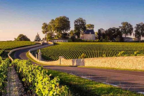 Bordeaux / Médoc - Route Des Châteaux