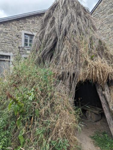 Gîte des Genêts en terrasses