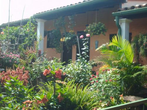Garden, Hotel Villa Santo Domingo in Ataco