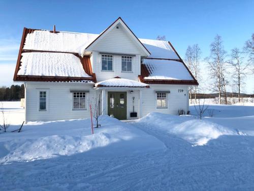 Northern Lights exclusive house by the river